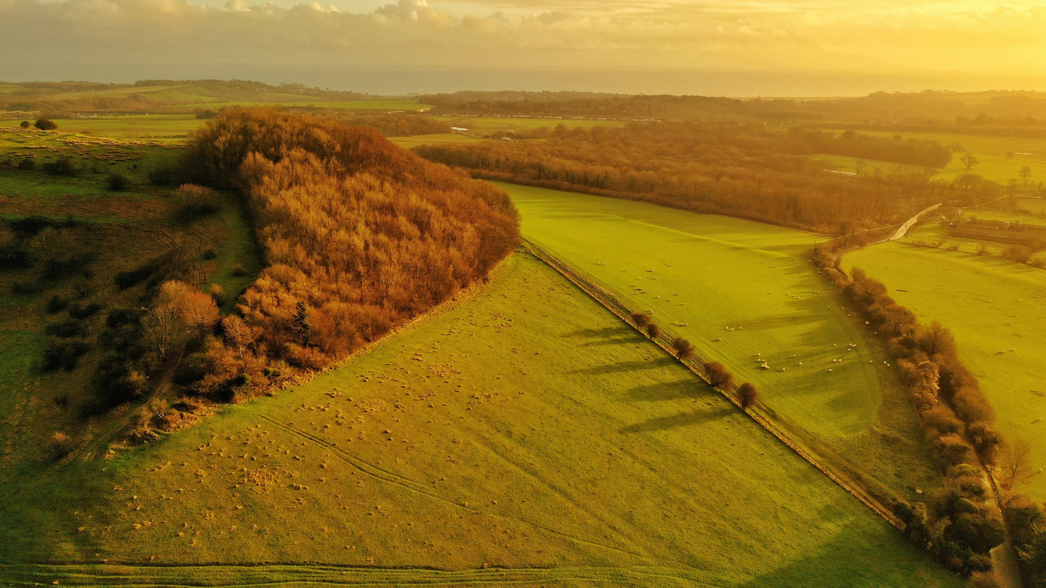 contract distillery sustainable in the the uk services