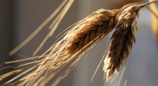 How to Make Whiskey (with a Contract Distillery)